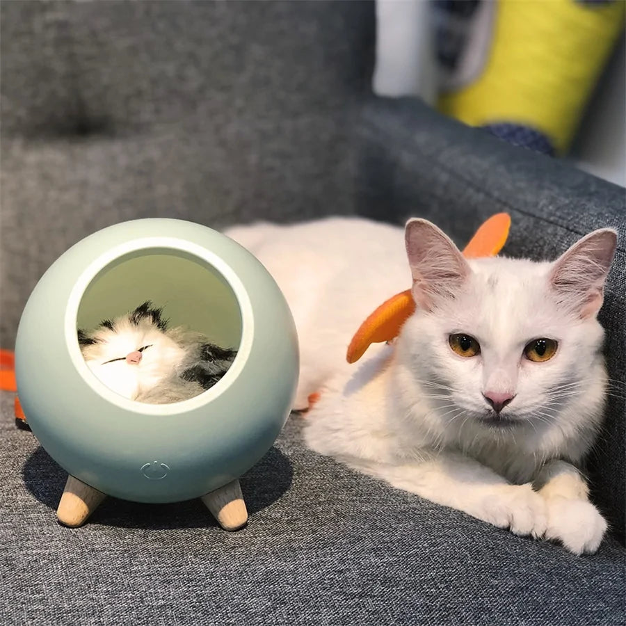 LED-Katzenlicht