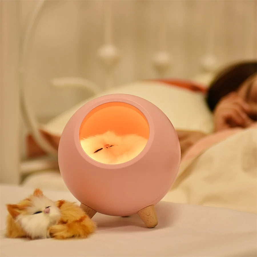 LED-Katzenlicht